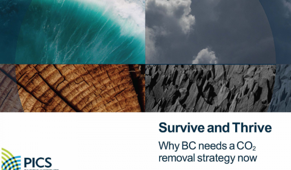 The cover of PICS' new report, Survive and Thrive